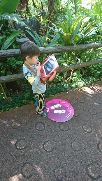 14���E�l�I�p�[�N�Ƌ����p�[�N�Ǝc�g�̊C�ƁI